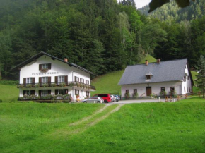 Ferienhaus Mendlingbauer